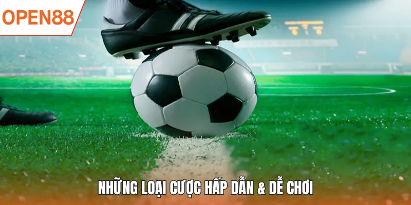 Những loại cược hấp dẫn & dễ chơi